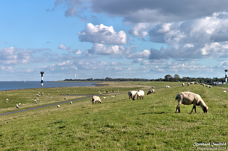 Bernhard Saalfeld - Wolken (3v9)